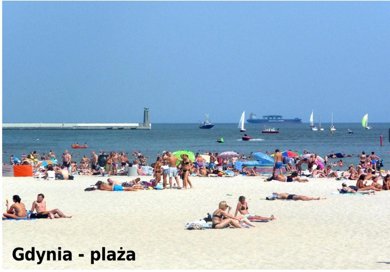 Faltom 26 Yacht Park Z Tarasem *