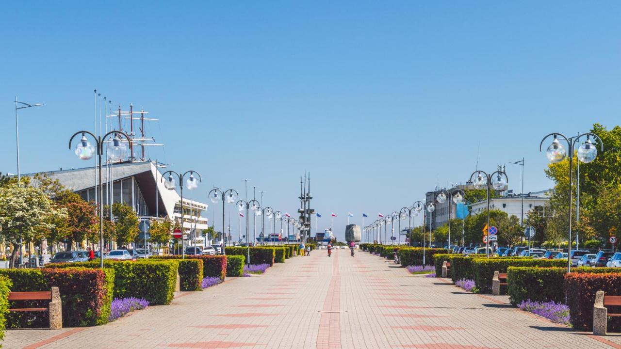 Faltom 26 Yacht Park Z Tarasem *